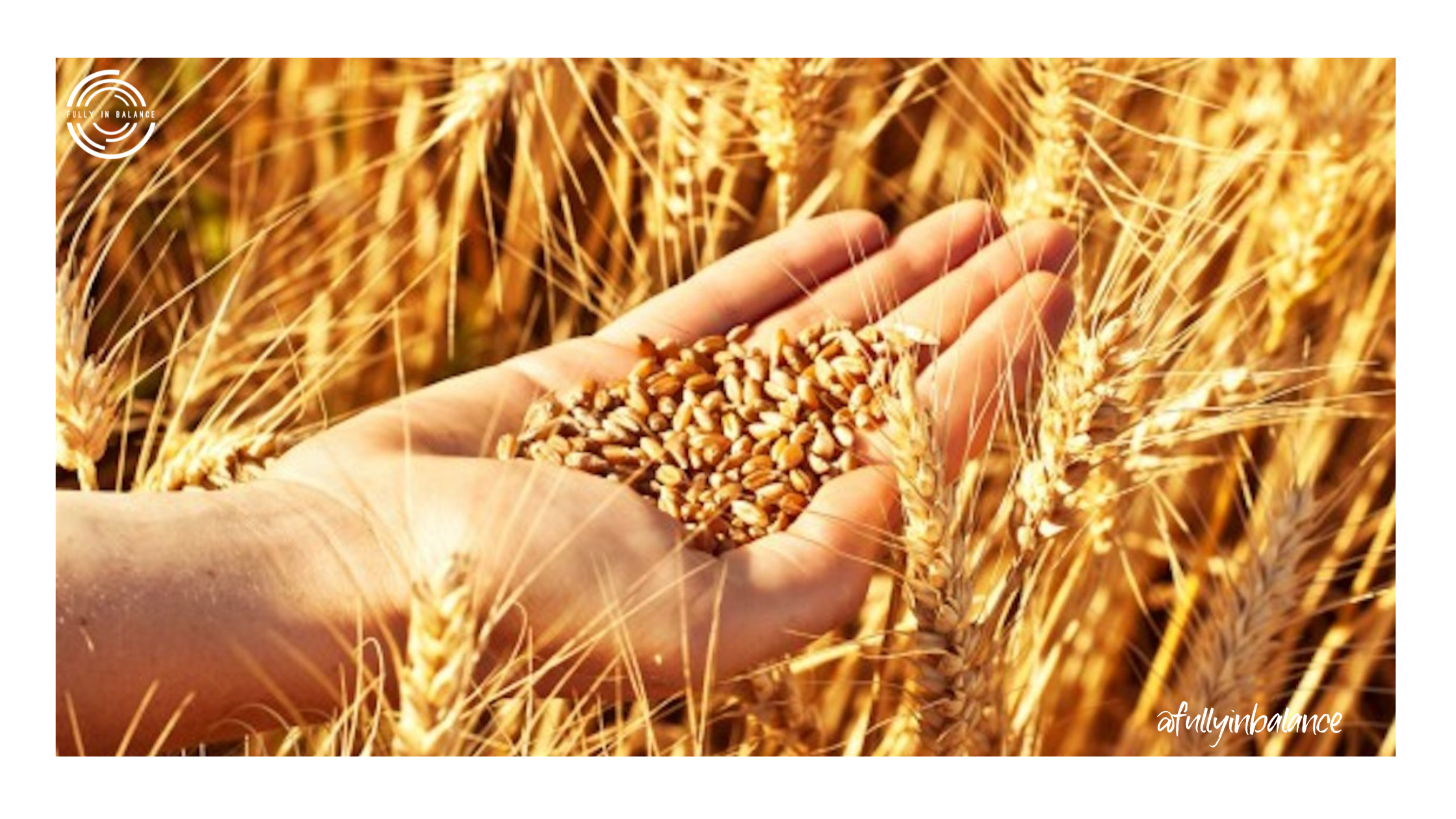 grain