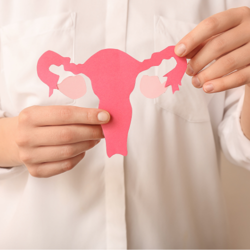 Gut and hormonal balance illustration