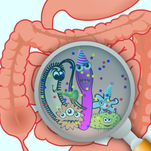 Gut microbiome illustration